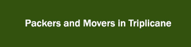 Packers and Movers in Triplicane
